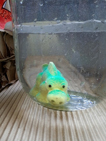 IMG_20260312_092827037_MFNR