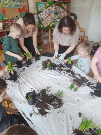 IMG-20260324-WA0006(1)