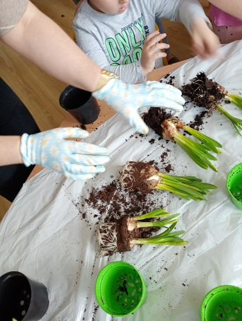 IMG_20260324_102509523_MFNR