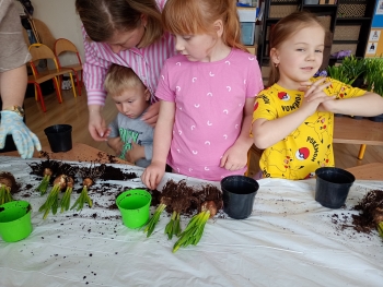 IMG_20260324_102622246_MFNR