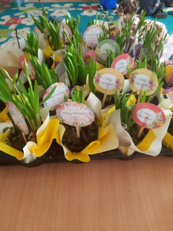 IMG-20260324-WA0000(1)