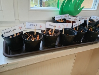 IMG_20260317_125258274_HDR