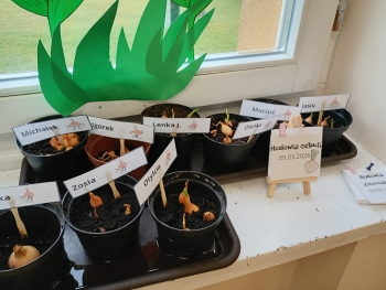 IMG_20260317_125301335_HDR