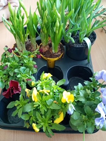 IMG_20260324_101151919_MFNR