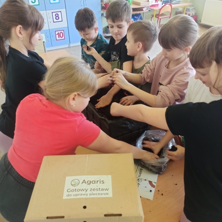 Małe grzyby, wielka lekcja! Nasza przygoda z „Pieczarkami z klasą”